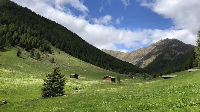 Mountain hotel South Tyrol: Tratterhof in Meransen Mountain hotel South Tyrol: Tratterhof in Meransen
